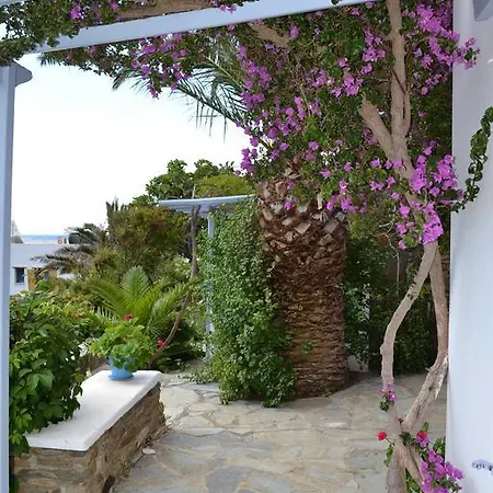 Ioanna Tinos 아파트 키오니아