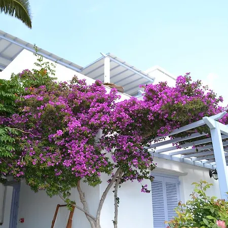 Apartman Ioanna Tinos