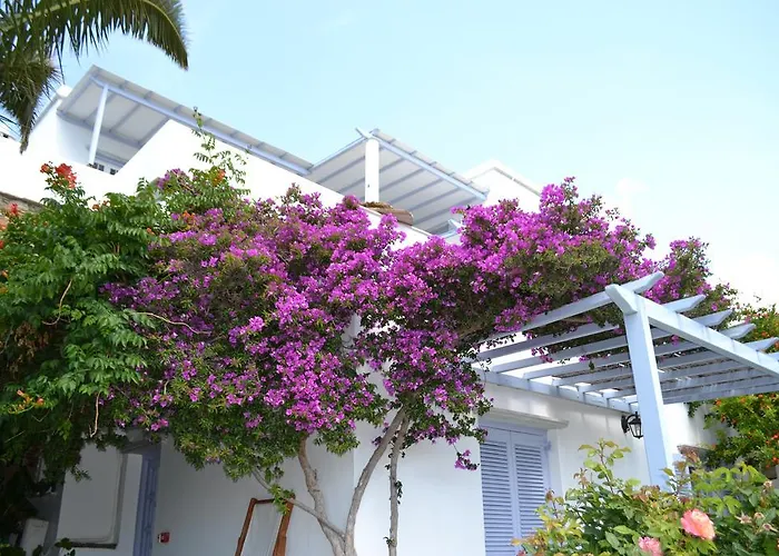 Apartamento Ioanna Tinos